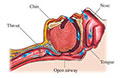 pediatrics