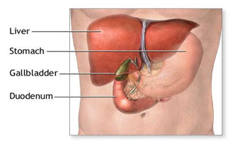 allbladder offers info on Gall Bladder Surgery India, Gall Stone India, Gall Stones India