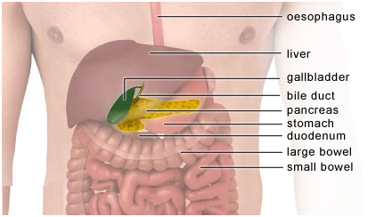 allbladder offers info on Gall Bladder Surgery India, Gall Stones India, Gallbladder Removal India