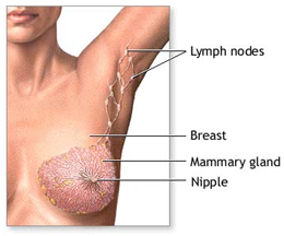 Radical Mastectomy Surgery Delhi India, Surgery India Mastectomy India