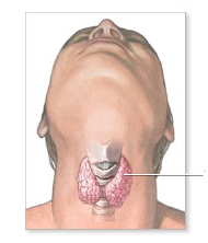 Thyroidectomy Surgery offers info on Thyroidectomy India, Thyroid Surgery India, Thyroidectomy Surgery India