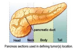 India Liver Disease, Endoscopy India, Gastroenterology India, Gastroenterology Hospital Kolkata