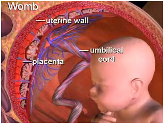 Tubal Ligation Reversal  Surgery India, Tubal Ligation Reversal  International Patient Experience India