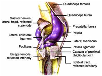 Arthroscopic Lateral Retinacular Release, Lateral Release India, Arthroscopic Lateral Release Surgery India