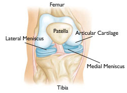 Meniscal Repair Surgery, Meniscal Repair Surgery India, Arthroscopic Surgery For Meniscus Repair