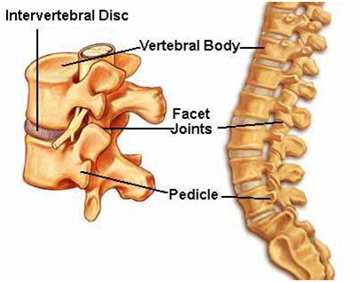 Radiculopathy Symptoms, Leg Pain