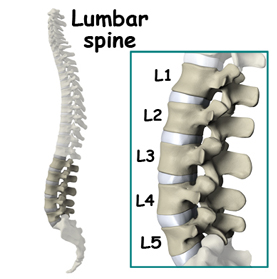 Artificial Disc Replacement India