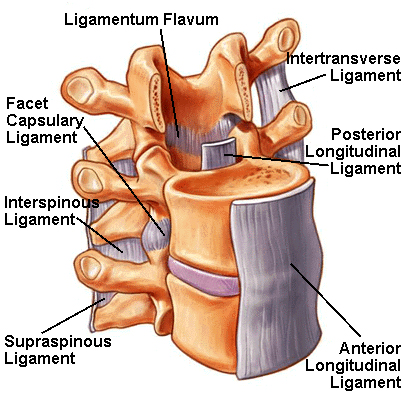 Lumbar Laminectomy, Lumbar, India Hospital Tour