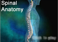 Transcutaneous Electrical Nerve Stimulation