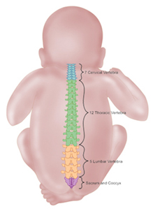 Hairy Patch On Lower Spine