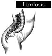 Spine Treatment India, The Thoracic, And The Lumbar Spine