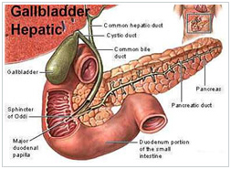 Minimal Access Invasive Surgery Wockhardt Hospital Mumbai, Invasive Surgery, keyhole-minimal-access-surgery