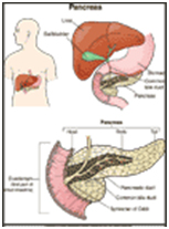 cute Pancreatitis Treatment  India offers info on Acute Pancreatitis Care Hospital India, Price Of Acute Pancreatitis Treatment India