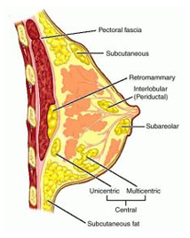 Amoebic Abscess Treatment  India offers info on Amoebic Abscess Symptoms India, Cost Effectiveness Of Amoebic Abscess Treatment India