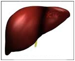 Cost Effectiveness Of Amoebic Abscess Treatment India, Amoebic Abscess Treatment  India Hospital Tour India