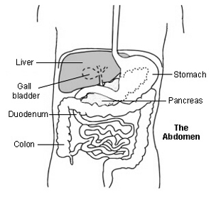 Cholecystitis offers info on Gallstones India, Obstruction Of The Cystic Duct India, Acute Cholecystitis India, Treatment India