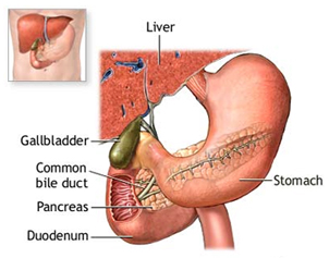 Endoscopic Retrograde Cholangiopancreatography offers info on ERCP India, Endoscopy India, Fluoroscopy India, Retrograde India