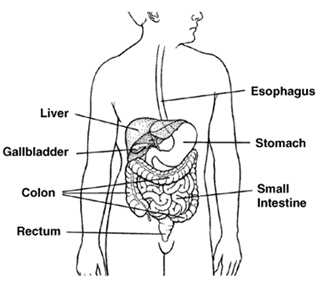 cancer treatment