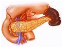 Pseudo Pancreatic Cyst Treatment offers info on Pancreatic Cysts India, Pancreatic India