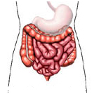 Rectal Prolapse Surgery offers info on Rectal Prolapse India, Rectal Ulcers India, External Prolapse India