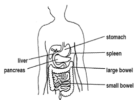 Splenectomy Surgery offers info on Splenectomy   India,  India Spleen Removal Surgery India, Splenectomy Surgery India