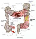 Gastroenterology Surgery India offers info on Gastroenterology Surgery Procedure  India, Gastroenterology Surgery In  India