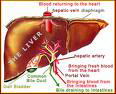 Gastroenterology Surgery India offers info on Gastroenterology Surgery Procedure  India, Gastroenterology And Hepatology HospitalsIndia