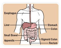 Pancreatic Surgery offers info on Pancreatic Cancer Surgery India, Pancreatic India, Pancreatic India