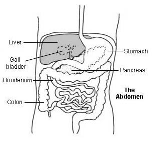 Anterior Resection Rectum Surgery India offers info on Cost Anterior Resection Rectum India, Anterior Resection Rectum India