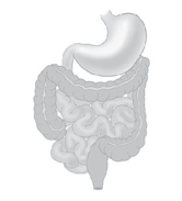 Colonoscopy Surgery India offers info on Cost Colonoscopy Surgery India, Colonoscopy Surgery India, Low Cost Colonoscopy Surgery Delhi India