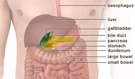 Gall Bladder Removal Surgery offers info on Gall Bladder Removal India, Gall Bladder India, Gall Bladder Removal Surgery India