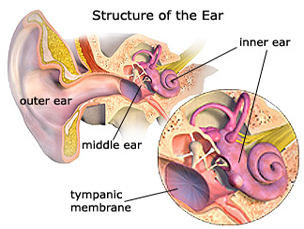 Myringotomy Surgery, Myringotomy, Myringotomy Tube, Bilateral Myringotomy, Adult Myringotomy