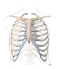 CABG Heart Surgery India, Minimally Invasive Heart Bypass Surgery, India Hospital Tour