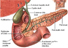 Gastroenterology Surgery In  India, Gastroenterology And Hepatology Hospitals,India